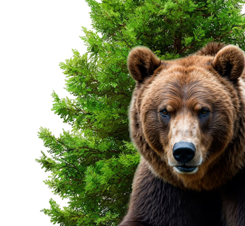 МБУ ЦКС «Медведь»